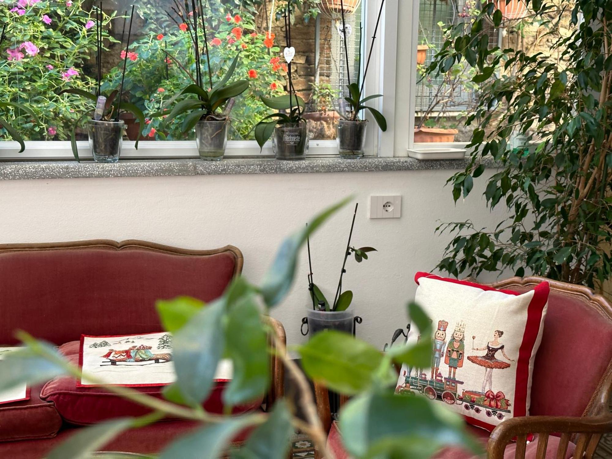 Domus Socolatae Residenza D'Epoca Charming B&B - Adults Only Фоллоника Экстерьер фото